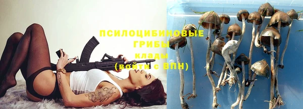таблы Богородицк
