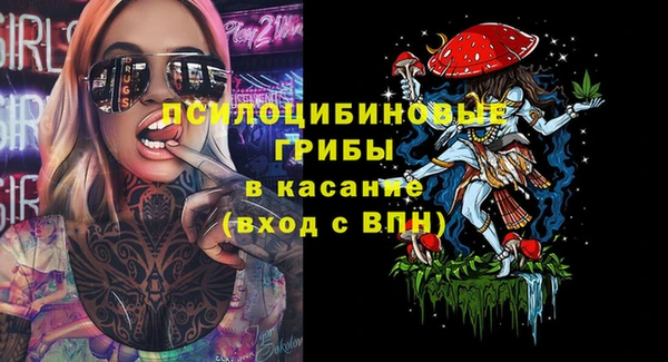винт Белокуриха