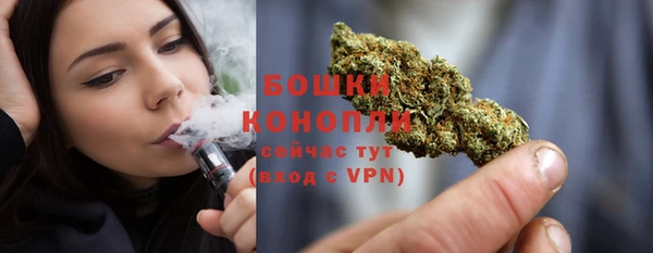 винт Белокуриха