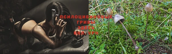таблы Богородицк