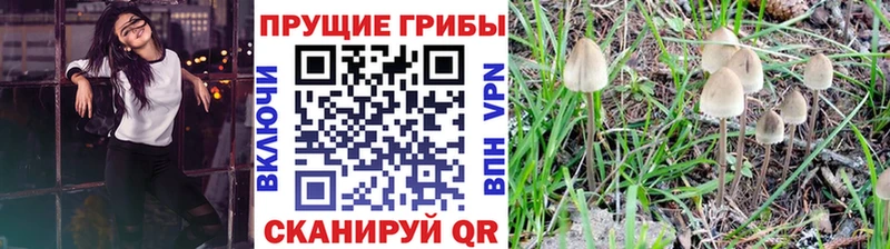 Галлюциногенные грибы MAGIC MUSHROOMS  Большой Камень 